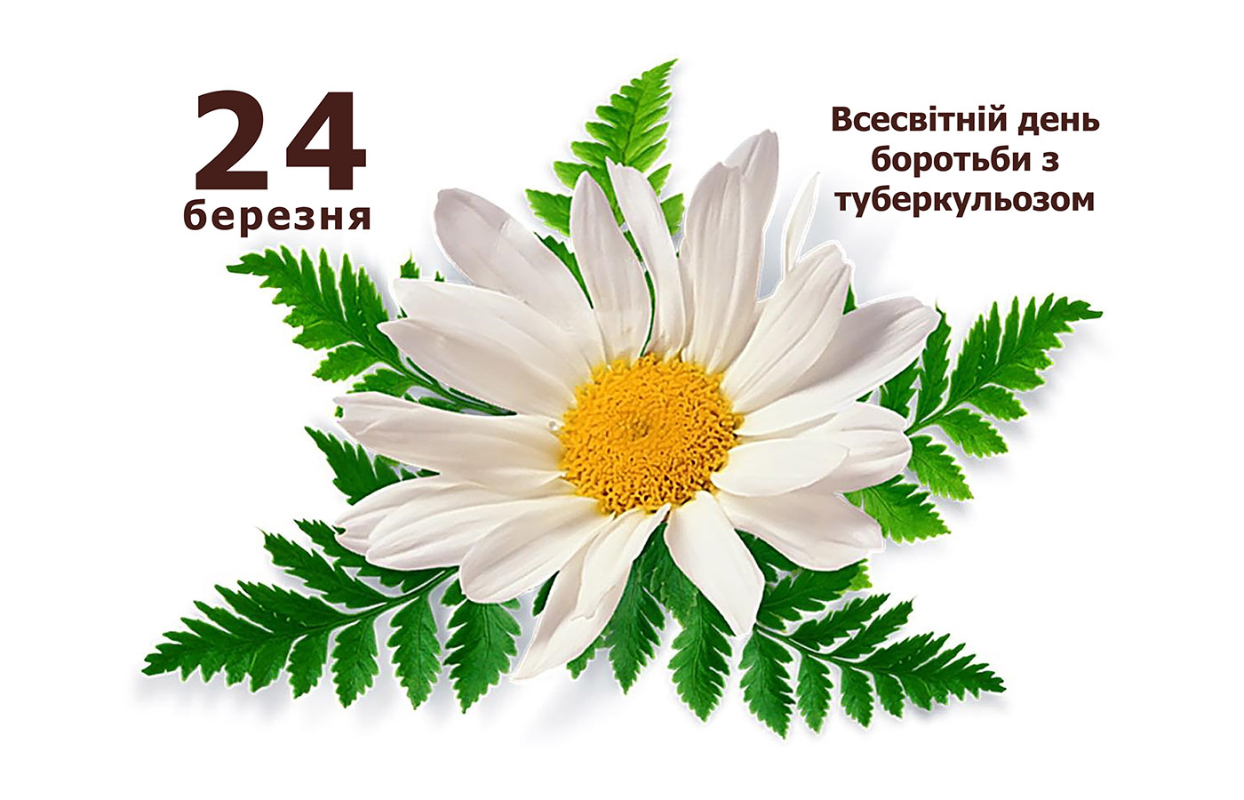 den borotbu tybercylez